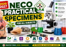 NECO Practical Specimens Bio, Chem, Phy & Agric 2026/2027